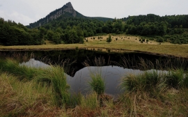 Tinovul Tăurile Chendroaiei