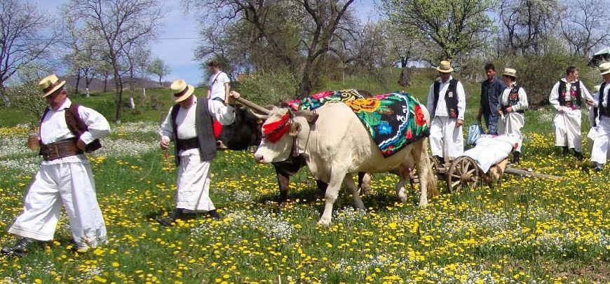 Udătorul din Șurdești
